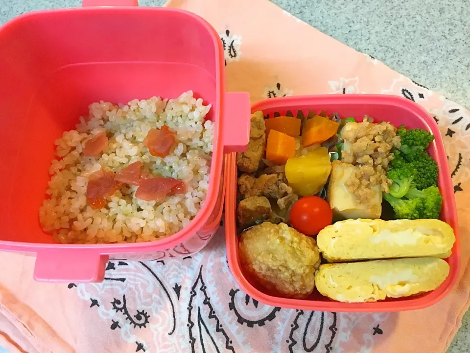 ☆8/28今日のお弁当☆〜肉じゃが、厚揚げのそぼろ煮、だし巻き卵、ブロッコリー、トマト〜|Satokoさん