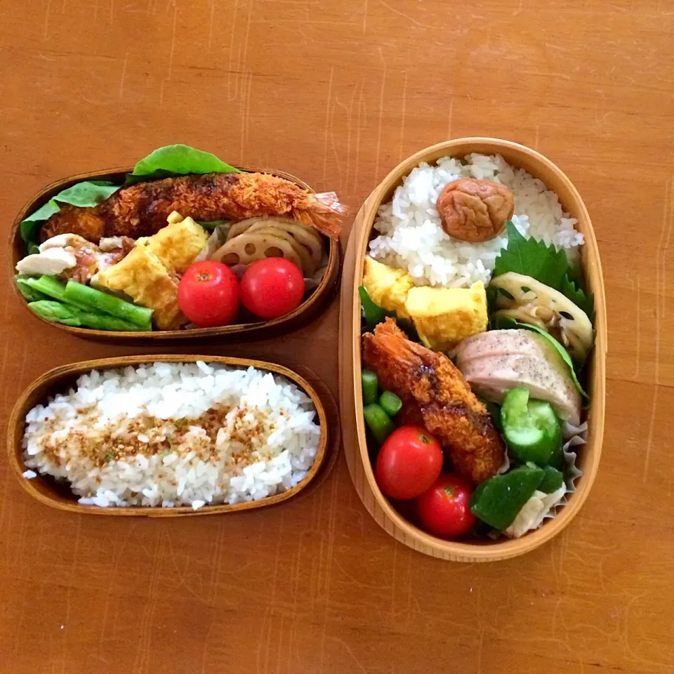 女子高生弁当#わっぱ弁当 #海老フライ#2人ぶん#鳥ハム|Eriko  Naraさん