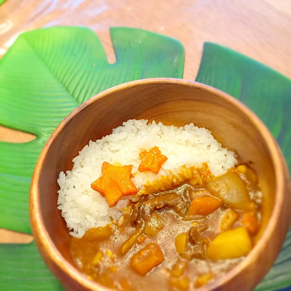 Snapdishの料理写真:息子ちゃんカレー🍛|Kayo Enomotoさん