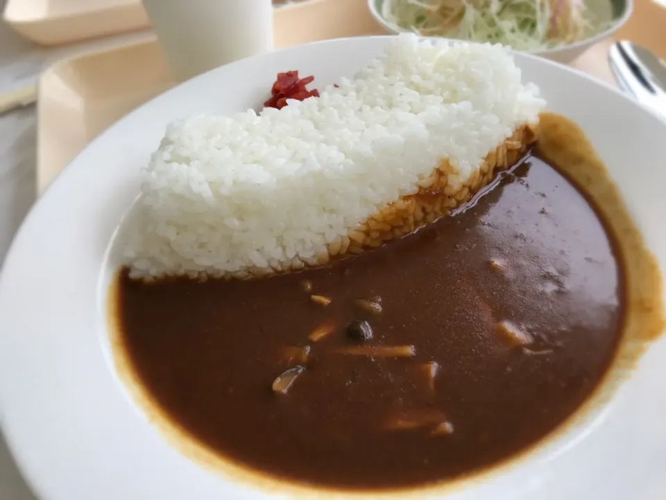 アーチダムカレー🍛|buhizouさん