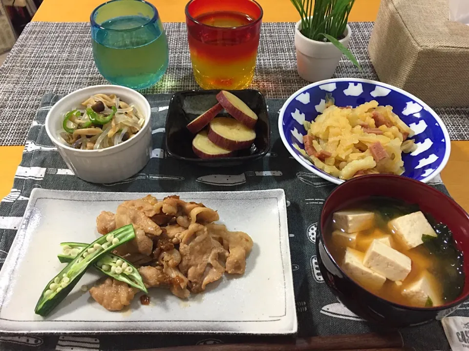 Snapdishの料理写真:🌸#豚肉のネギ醤油炒め 🌸#白ゴーヤーチャンプルー 🌸#マロニーのしめじピーマン炒め 🌸#さつまいもの煮物 🌸#豆腐とわかめの味噌汁  #生マロニー #使ってみた|優花さん