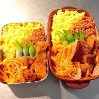 Snapdishの料理写真:オレンジ色弁当
そぼろ  トンカツの甘辛煮  にんじんしりしり  パスタ  枝豆|あーのさん