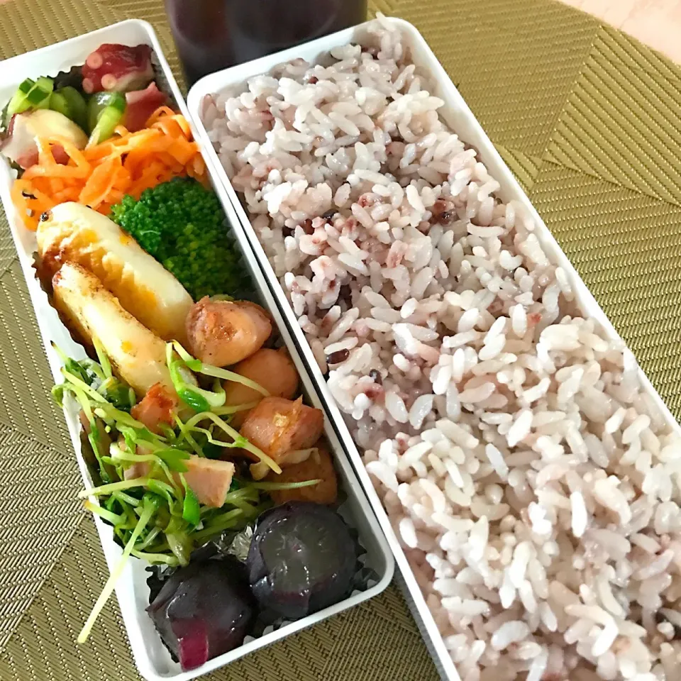 今日ののお弁当🍱
朝から蒸し暑いです
気をつけていってらっしゃい👋|mokoさん