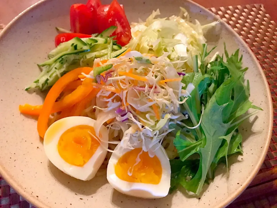 Cold Noodle Salad🥗冷やし中華|🌈Ami🍻さん