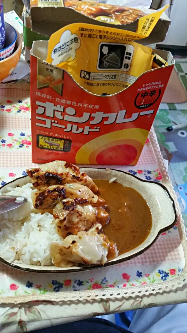 26日の朝食、餃子カレー|こやっこさん