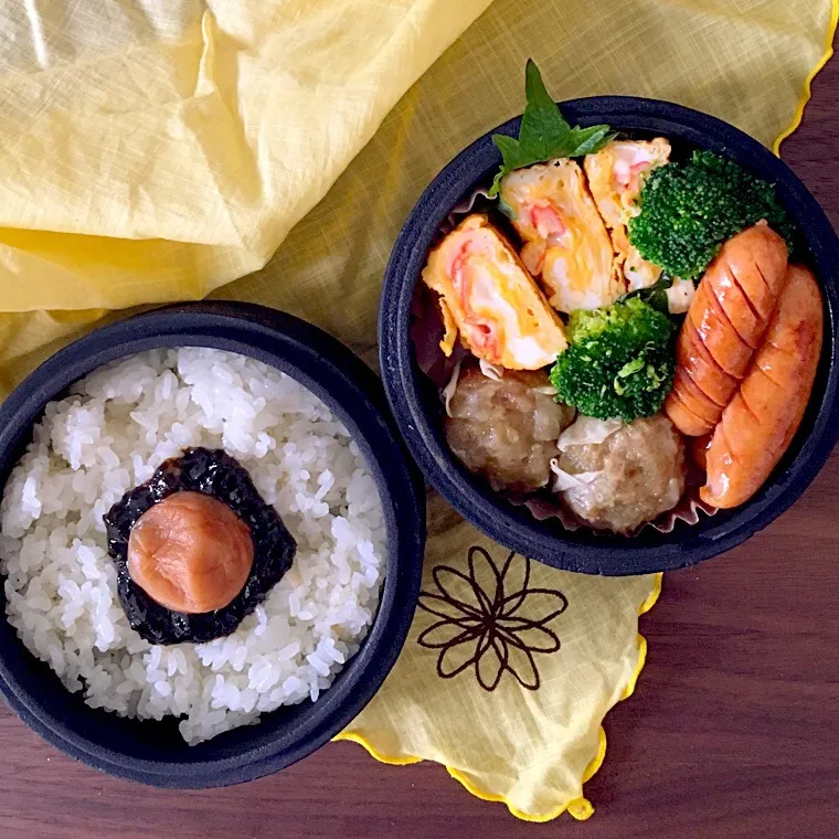 今日のお弁当|nasupiyukoさん