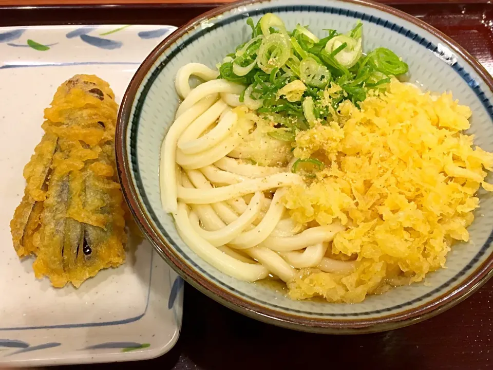 かけうどん🍆丸亀製麺よりも好きな、麦まるです|ゆうじ.さん