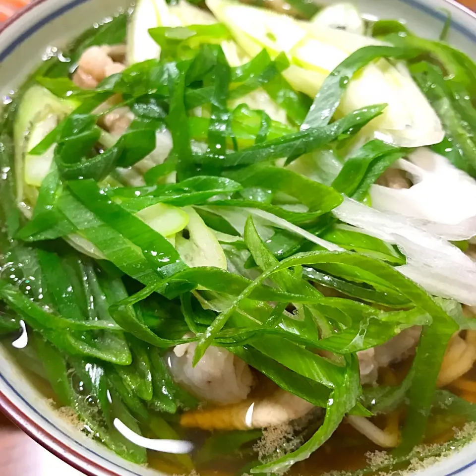 岩津ねぎと鶏肉の温かいお蕎麦|HALさん