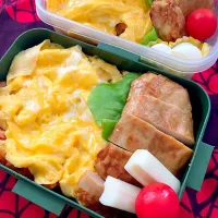 Snapdishの料理写真:オムライス弁当|micaさん