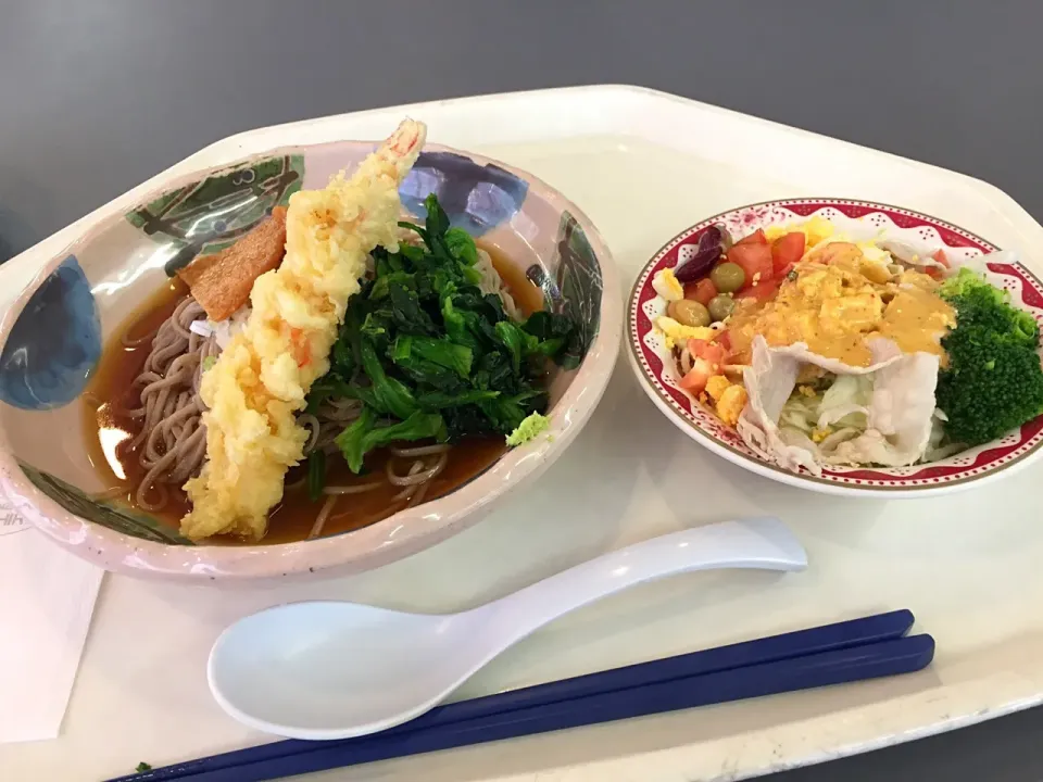 冷しぶっかけ蕎麦、海老天、青菜、きつね、コブサラダ|Tadahiko Watanabeさん