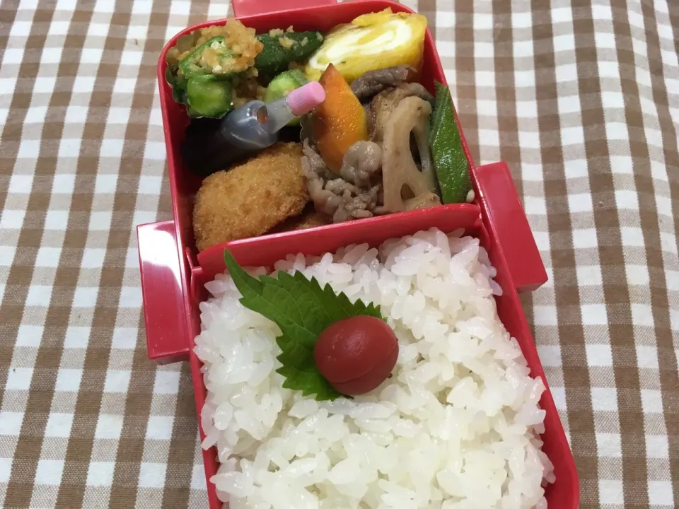 Snapdishの料理写真:9月1日 月頭 弁当🍱|sakuramochiさん