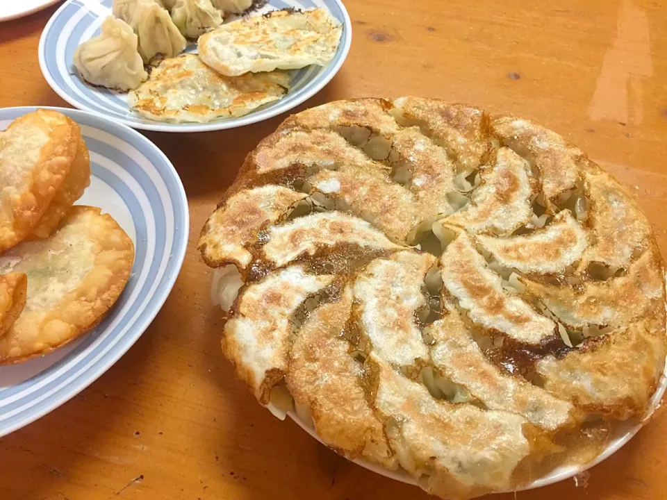 普通の焼き餃子|ルドルフさん