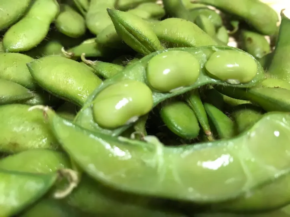 秋田県上小阿仁村の道の駅かみこあにで買った枝豆「晩酌茶豆」豆の味しっかり、美味しい！|お家でbar!さん