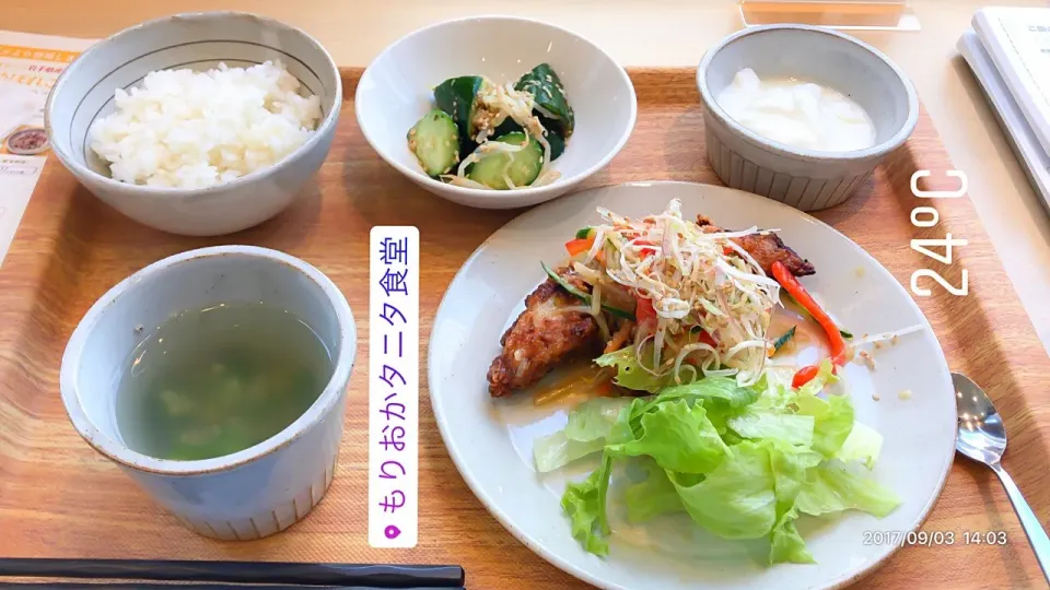 Snapdishの料理写真:鶏の唐揚げ千切り野菜の黒酢南蛮がけ定食🐔😋 581kcal、塩分3g、野菜267g #タニタ #タニタ食堂|川村大作さん