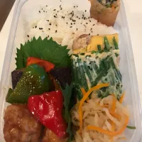 今日のお弁当|栄里子さん