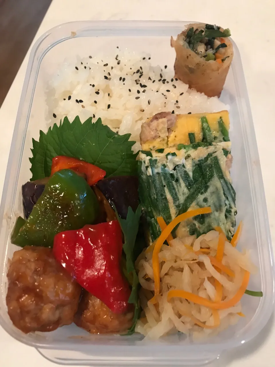 今日のお弁当|栄里子さん