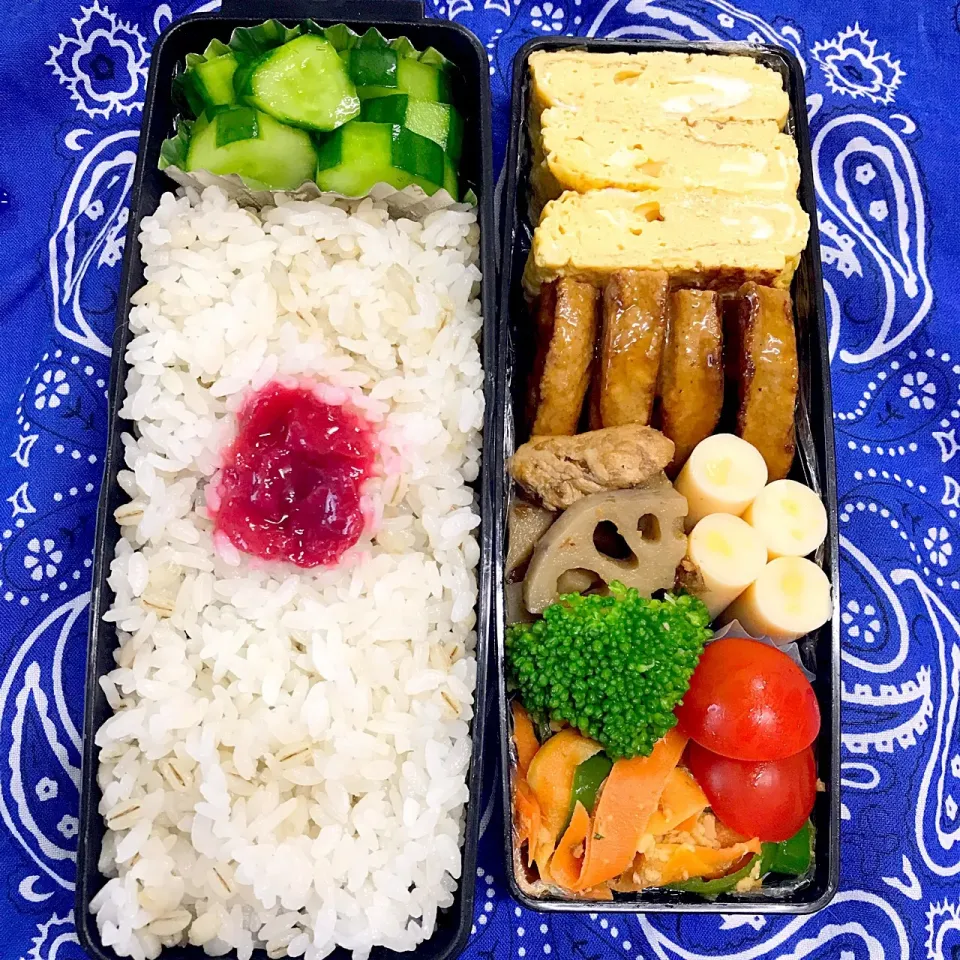 Snapdishの料理写真:#今日の高一男子弁当|Shee Sunさん