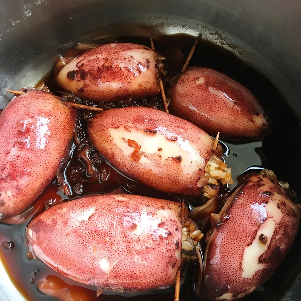 アオリイカのイカ飯|きのみんさん