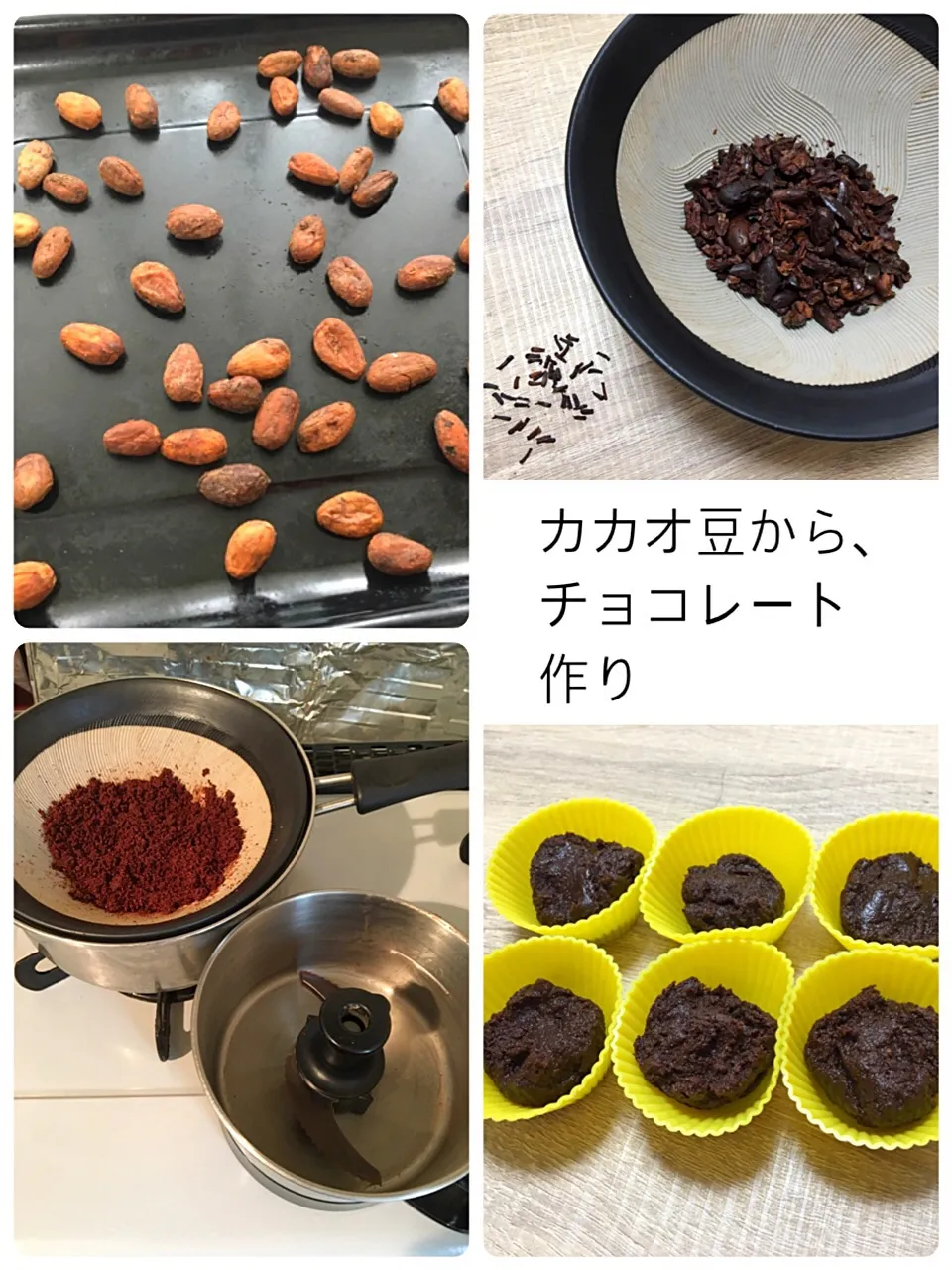 カカオ豆から、チョコレート作り|まっちGさん