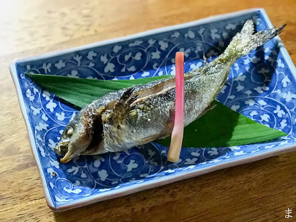 小笠原産 鰖塩焼き|まる(丸大豆)さん