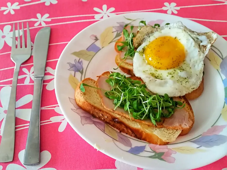 Snapdishの料理写真:Egg with Butterzopf and Kresse salad|Najeskaさん