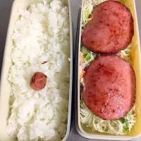 Snapdishの料理写真:男の作る弁当2017/09/05|大原 忠良さん