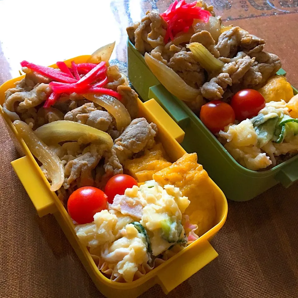 #お昼ご飯 #お弁当 #生姜焼き弁当 

9.5 今日のお弁当🍱🍱|renharuruさん