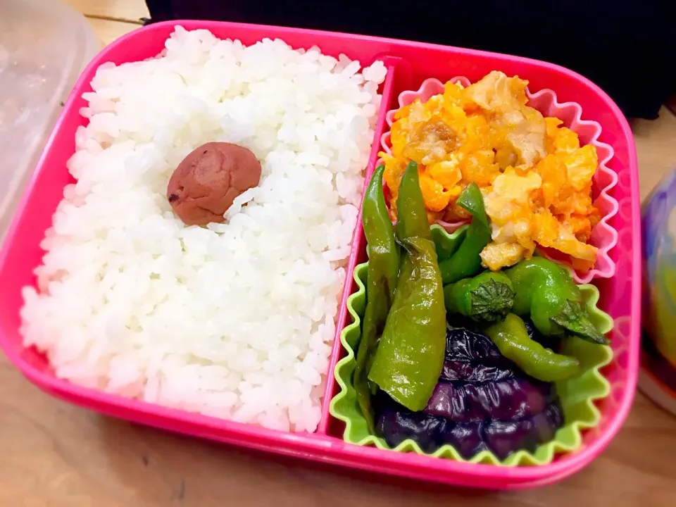 今日の彩り弁当🎶|パオパオあつこさん