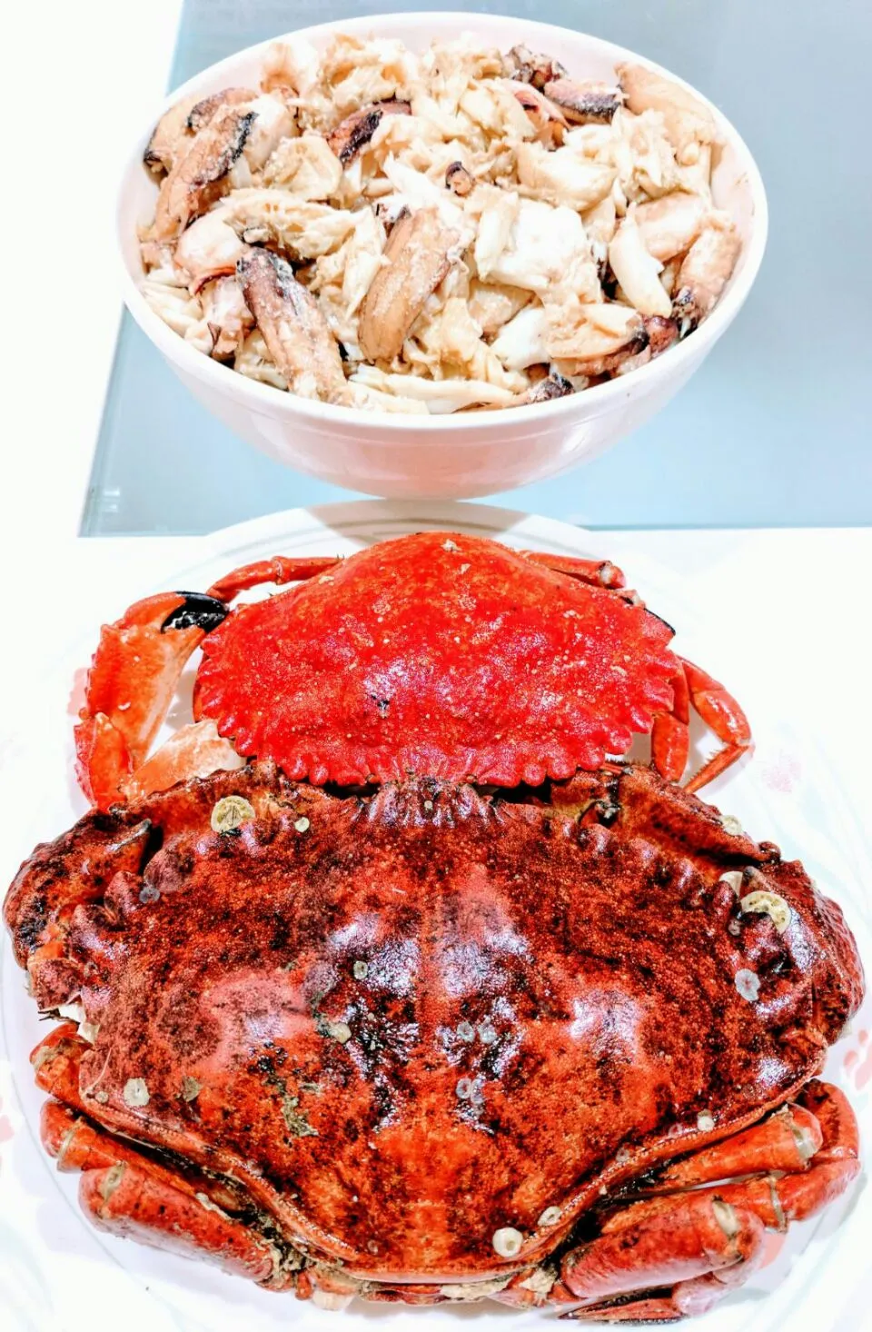 dungeness crab|steven z.y.さん