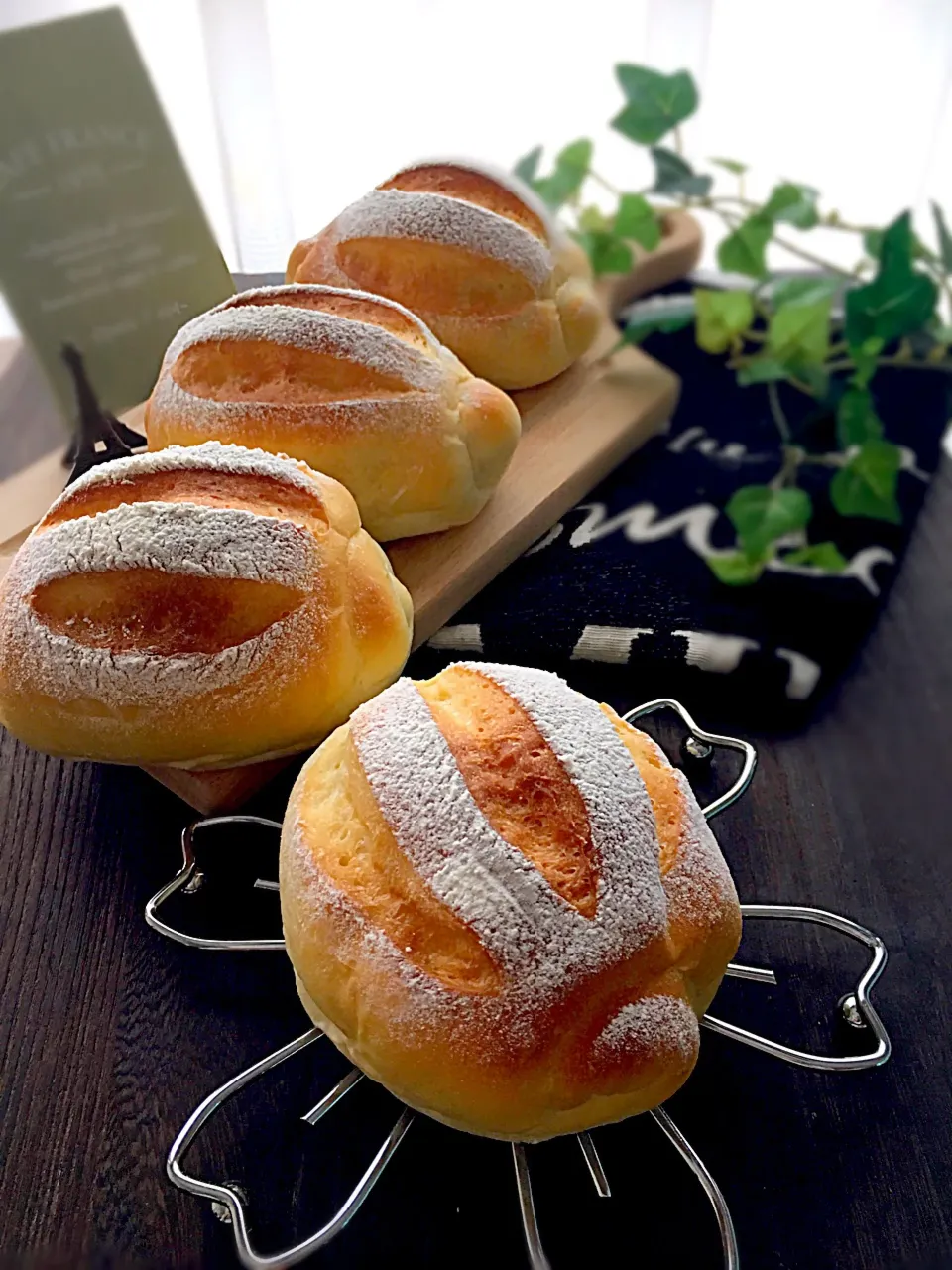 ミルクハース|メープルさん