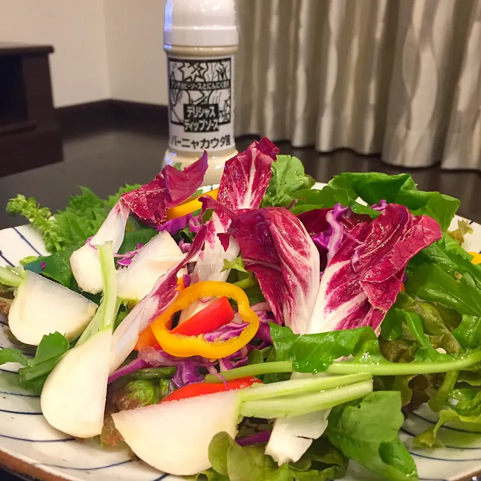 Snapdishの料理写真:軽井沢の高原野菜サラダ🥗 #高原野菜|ヨッチャンさん