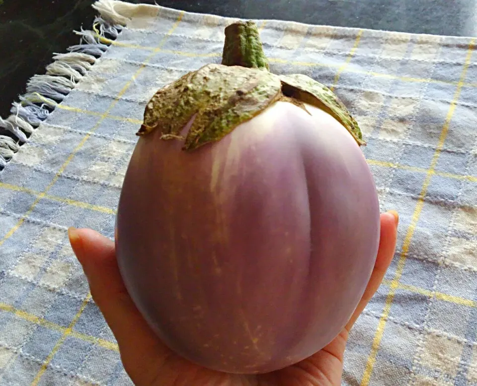 Snapdishの料理写真:＊珍しい野菜～part 38＾＾＊～｢お尻みたいな桃🍑?ではなく、茄子🍆！!｣…|*ママちゃん*さん