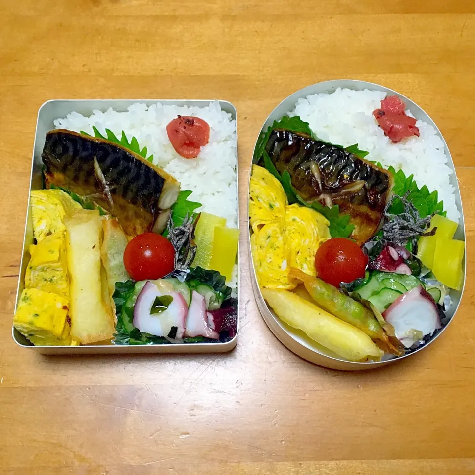 焼きサバ弁当(*^^*)|sachiさん