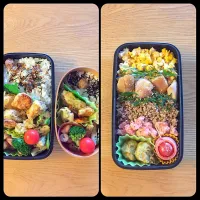 鶏天親子弁当とそぼろ丼弁当♪|hiromiさん