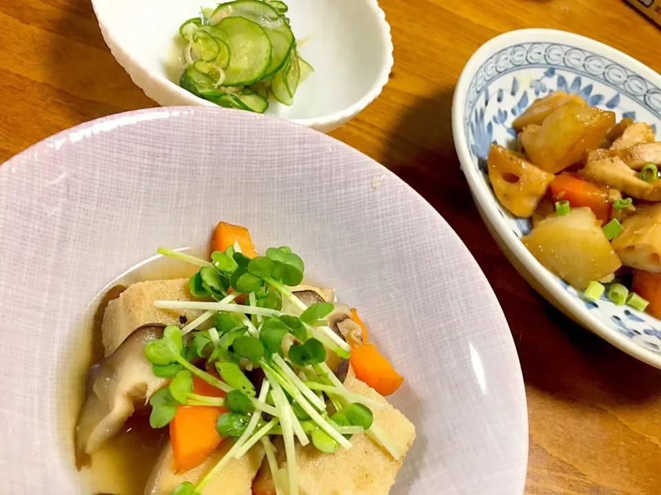 きゅうりとみょうがの和え物
高野豆腐の煮物
根菜煮|satoshiさん