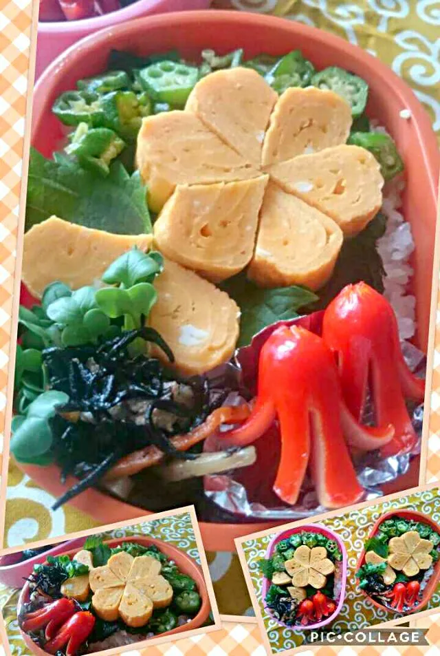 #今日のお弁当
 #節約弁当
玉子焼きの                                  🌼🌼花咲く昼うち弁当🍱🍴|kimi=kimi🌼Kitchenさん