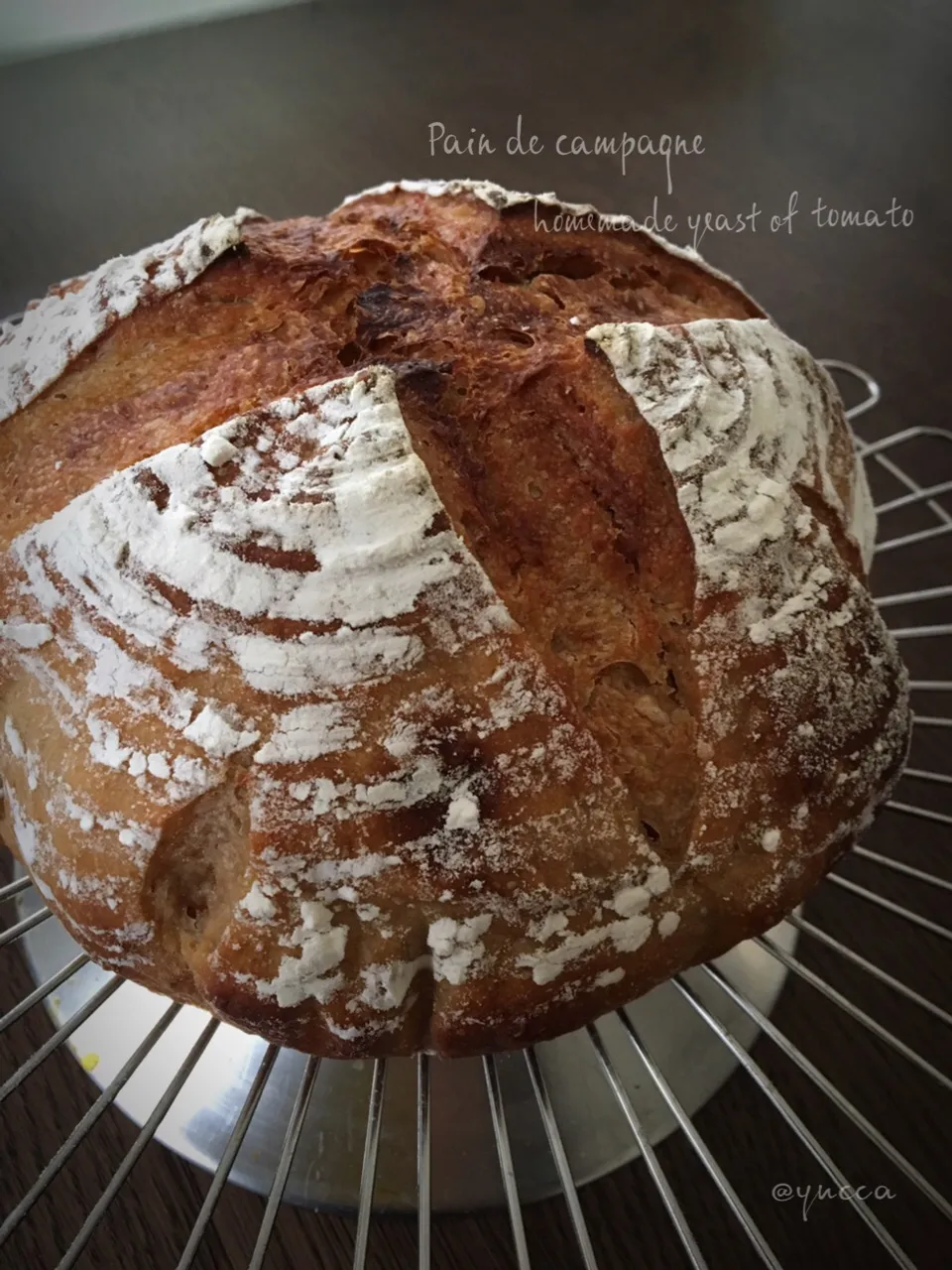 pain de campagne
トマト酵母🍅
味噌パウダー入れてみました。|yucca@さん