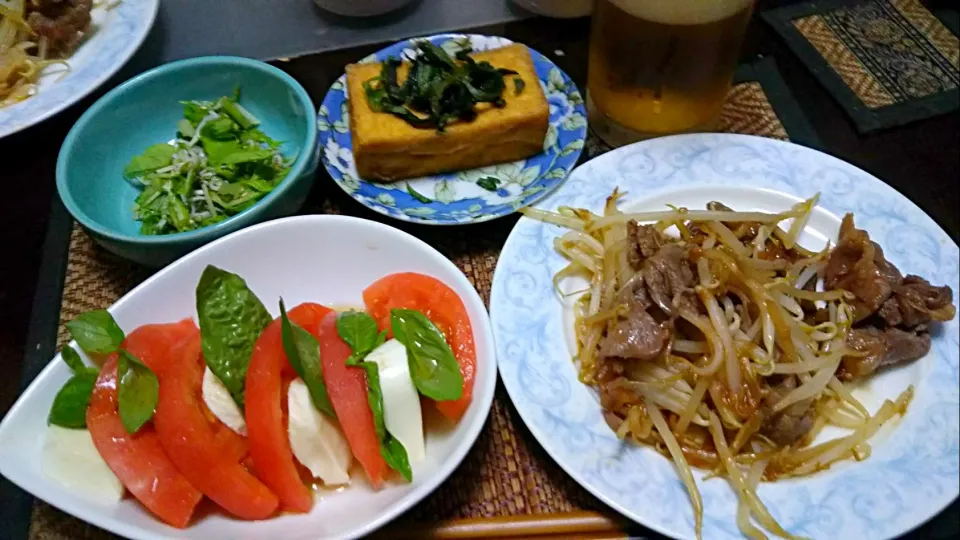 カプレーゼ&水菜サラダ&厚揚げ&ラム|まぐろさん