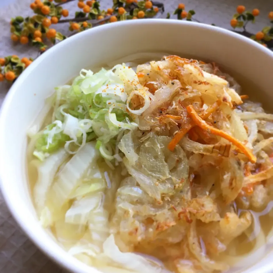 ＊しらすと野菜の贅沢かき揚げうどん

#古川家ごはん #古川家 #料理研究一家 #手作り #青森県産 #しらす #かきあげ #うどん|料理研究一家「古川家」さん