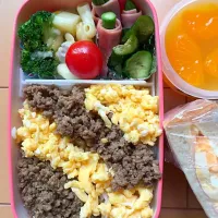 Snapdishの料理写真:二色そぼろ弁当
マカロニグラタン
アスパラベーコン🥓
きゅうり🥒の酢醤油漬け
早弁用卵🥚サンド
みかん🍊ゼリー|Hiroさん