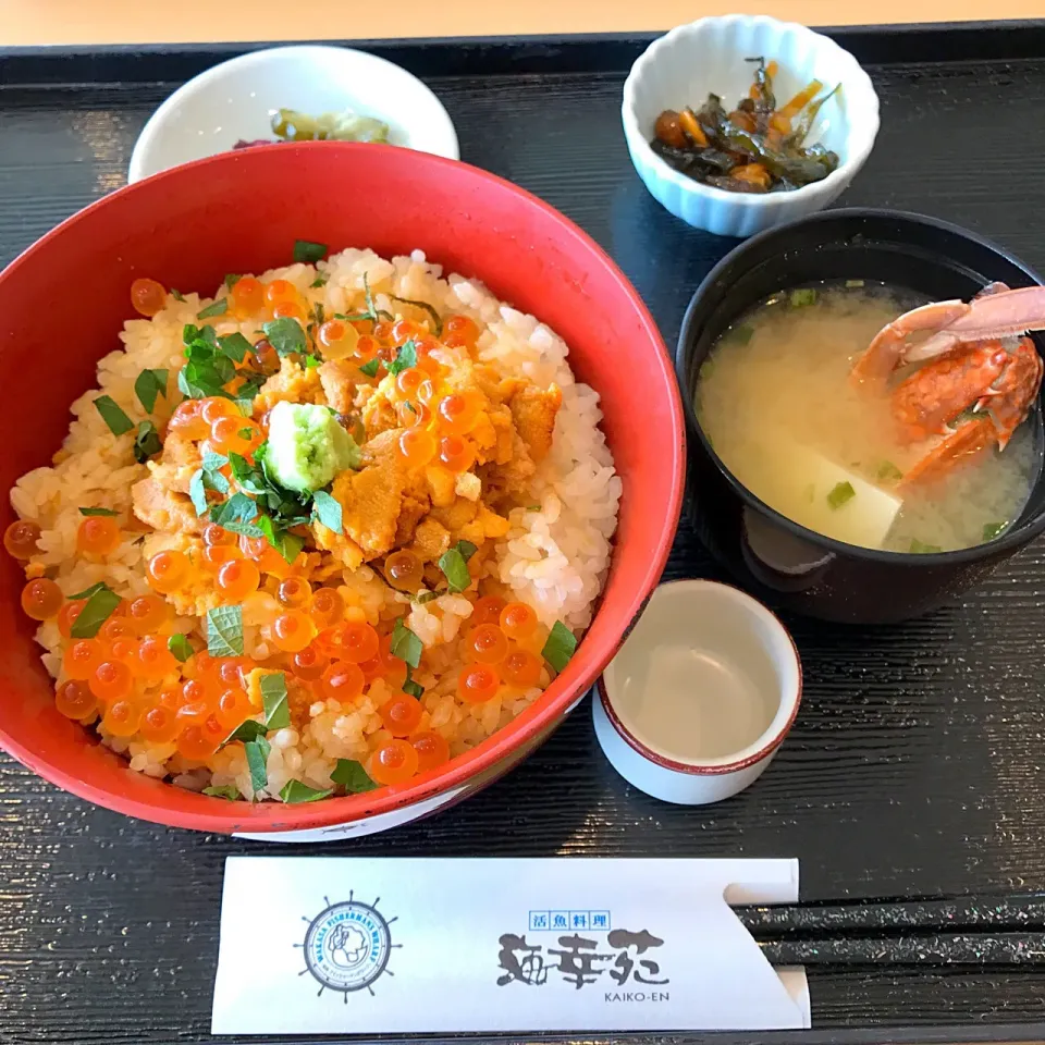 うにいくら丼(◍•ڡ•◍)❤|いつみさん