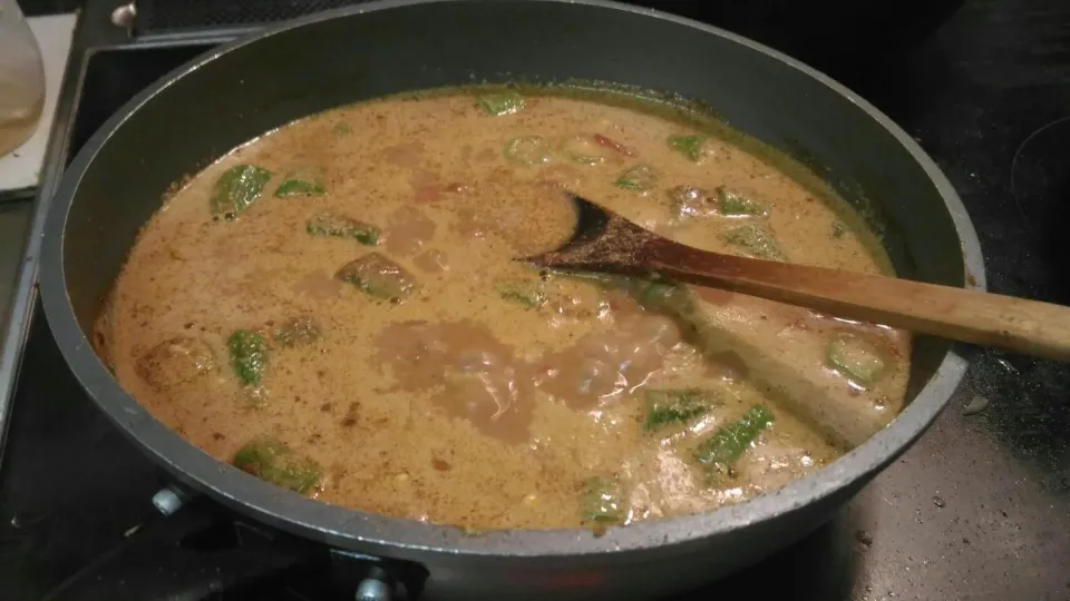 南インド風カレー
チキン
オクラ
ココナッツミルク|Tasuku Kimuraさん