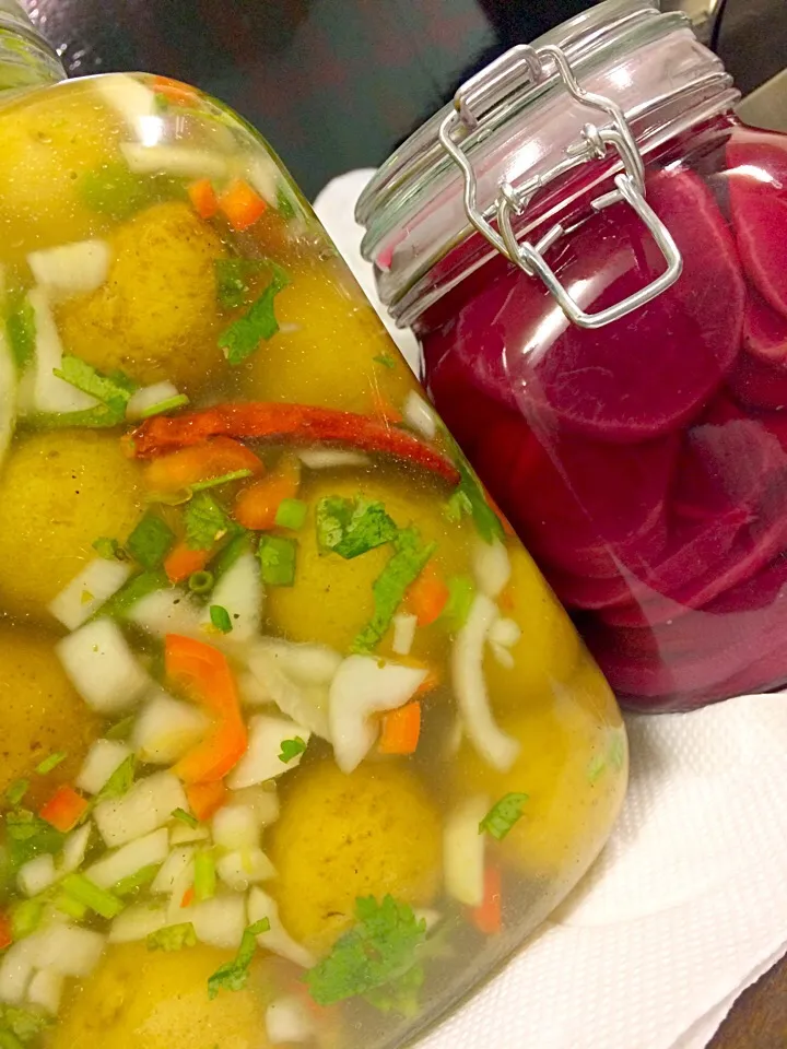 preserved potatoes and beets|Vander E Celineさん