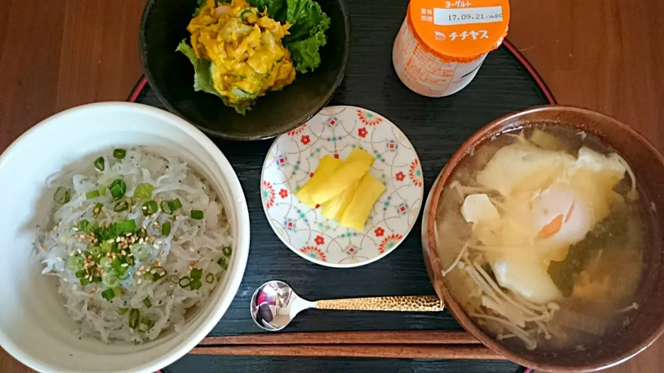 朝ごはん🍚生しらす丼、お味噌汁、沢庵、南瓜サラダ、ヨーグルト|アンジェさん