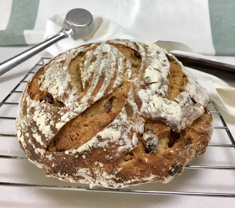 Sprouted Buckwheat Seed and Chinese Date Sourdough Rye Bread|gonbenさん