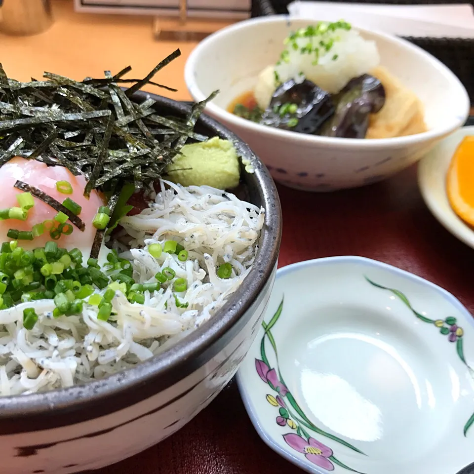 シラスまぐろ丼/茄子と豆腐揚げ出し/味噌汁|山内博之さん