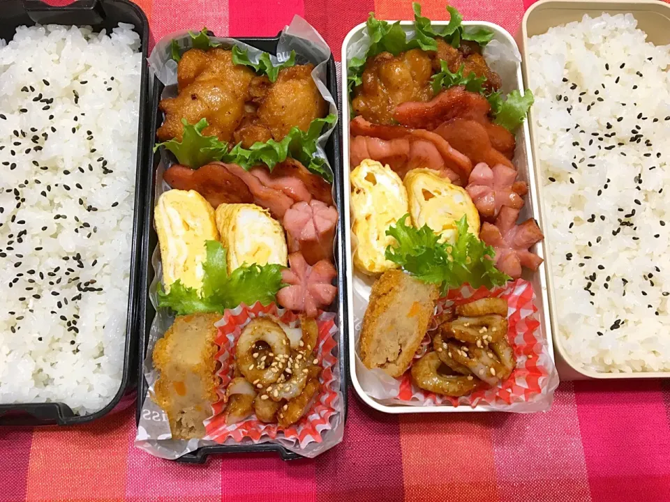 Snapdishの料理写真:息子弁当@406.
娘弁当@82.|もりさん