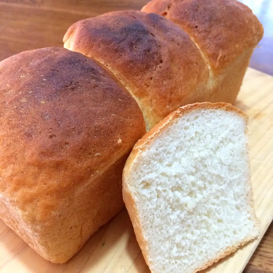 国産小麦「春よ恋」100%のミニ食パン🍞|hananoさん