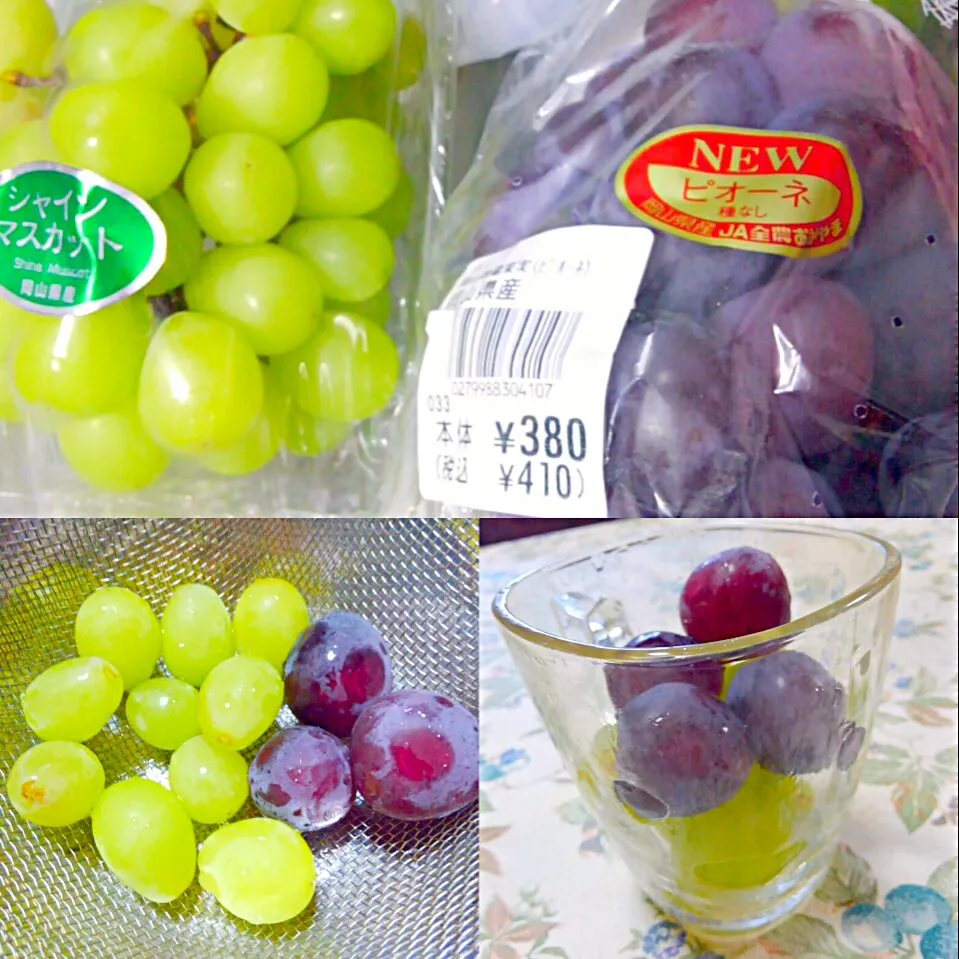 Snapdishの料理写真:シャインマスカットとニューピオーネ🍇葡萄大好き|うたかた。さん