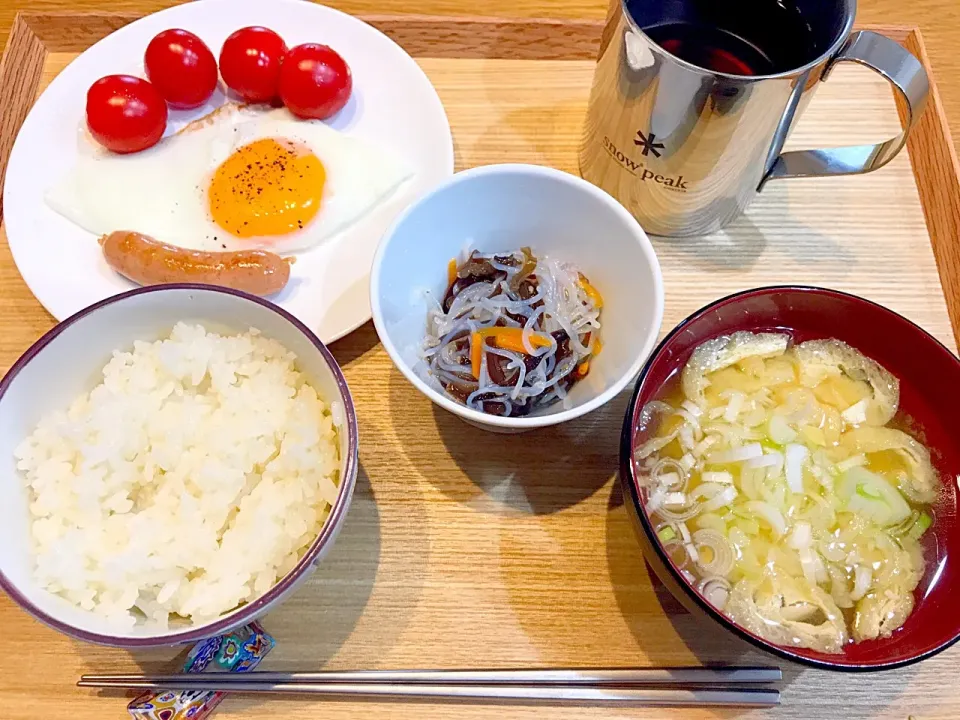 今日の朝飯！

#目玉焼き #ミニトマト #ウインナー #春雨サラダ|茂木 和哉さん